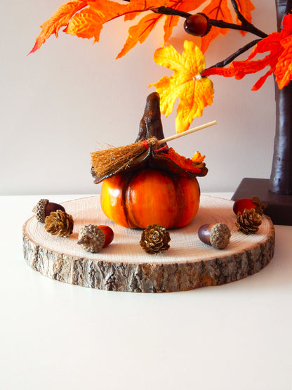 Pack Duo - Les citrouilles d'automne