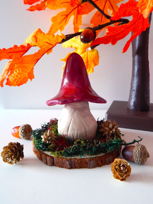 Pack Trio - Les champignons