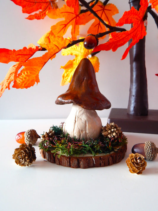 Champignon - Marron