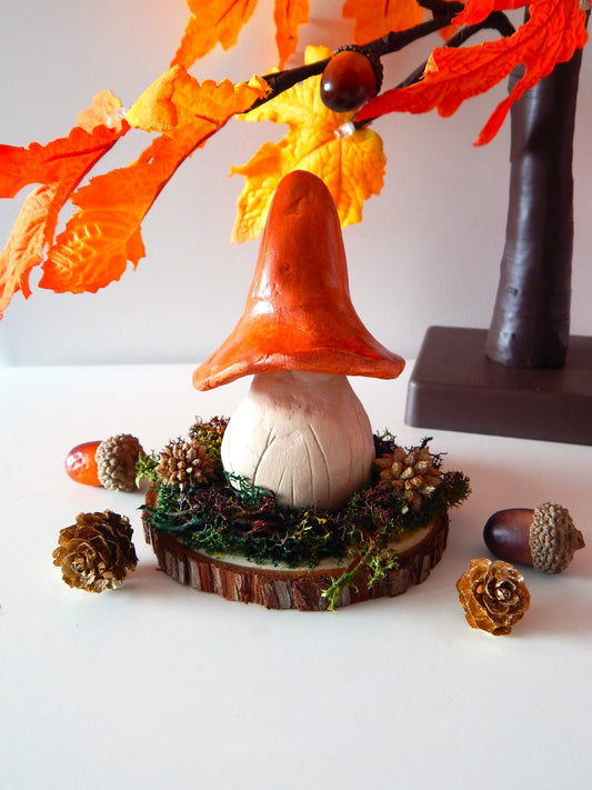 Champignon - Orange