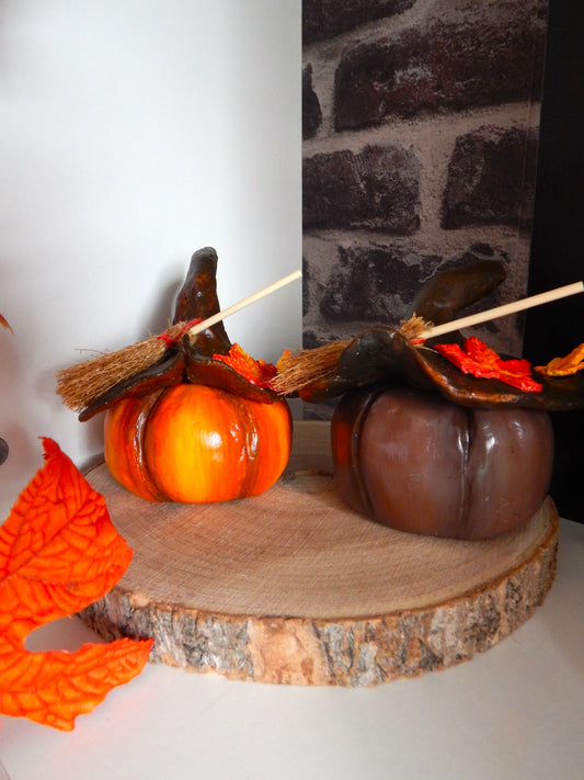 Pack Duo - Les citrouilles d'automne