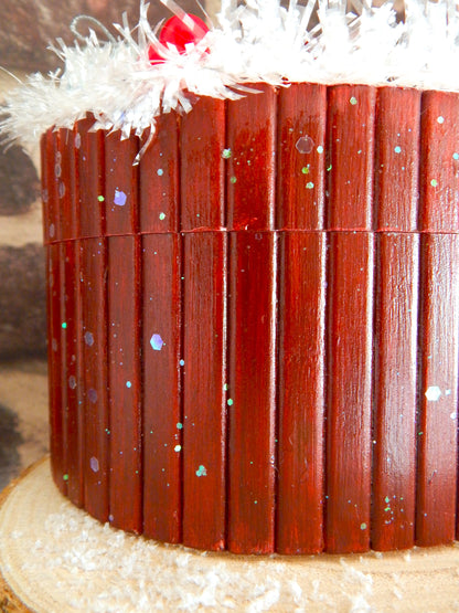 Boîte - Le Noël magique de Camélia (Édition limitée)