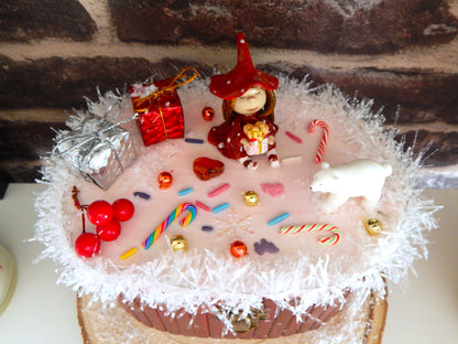 Boîte - Le Noël magique de Camélia (Édition limitée)